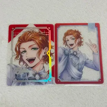 트위스테 플라티나 자켓 케이트 클리어 카드