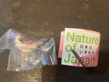 네이처 테크니컬러 일본의 생물 03 참새