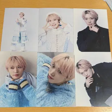 팬더드래곤 타이거 엽서 1