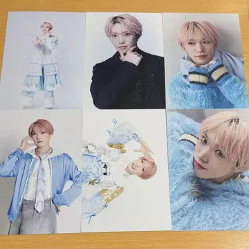 팬더드래곤 엽서 타이거 2