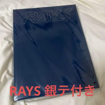 [ 새상품 ] [ 덤 포함 ] SnowMan RAYS 팜플렛