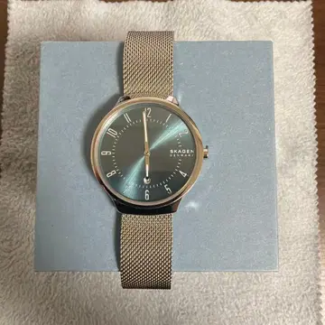[ SKAGEN ] 남성용 손목시계 SKW6521