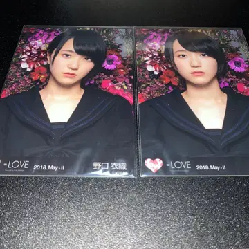 =LOVE 이코라브 노구치 이오리 브로마이드 꽃 배경 요리 2종 2매