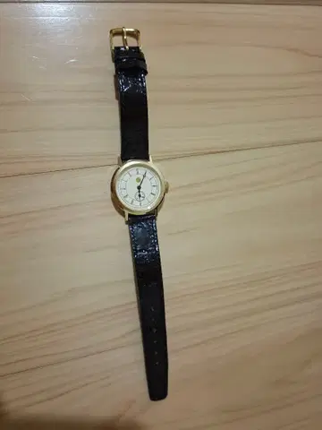 천황 폐하 재위 60주년 기념 손목시계