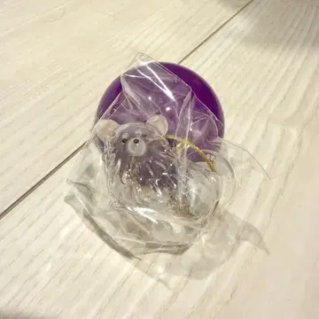 우리 아이 털뭉치 강아지 치와와(화이트) 한정품