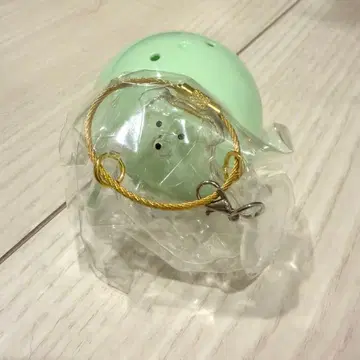 우리 아이 털뭉치 강아지 세모 늘어진 귀