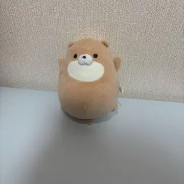 곰과 양의 봉제 인형 세트