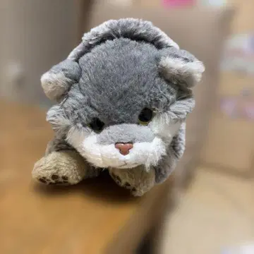 카롤라타 뒹굴뒹굴 시리즈 마눌고양이 L 사이즈