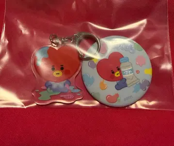 BTS BT21 BABY TATA 배지 & 키링 세트