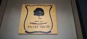 amber gris 차일드 포레스트 CD