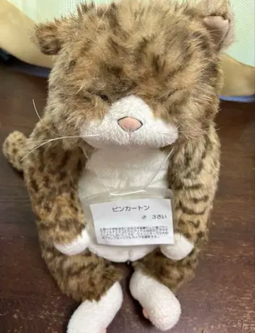 [새상품급] Cuddly 봉제 인형 고양이 핑카톤