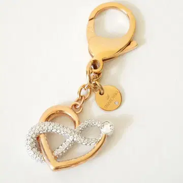 스와로브스키 Infinite 백참