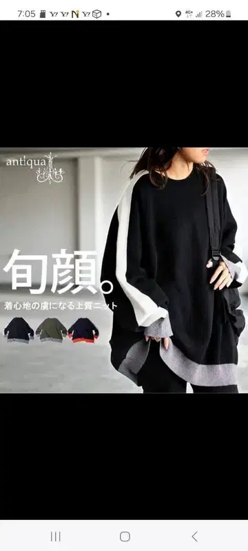 antiqua 안티카 배색 라인 니트