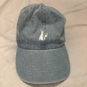 FR2 데님 캡