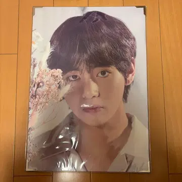 BTS WORLD TOUR LOVE YOURSELF 태현