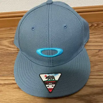 Oakley 그레이 캡 스냅백