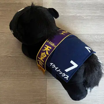 서러브레드 컬렉션 이퀴녹스