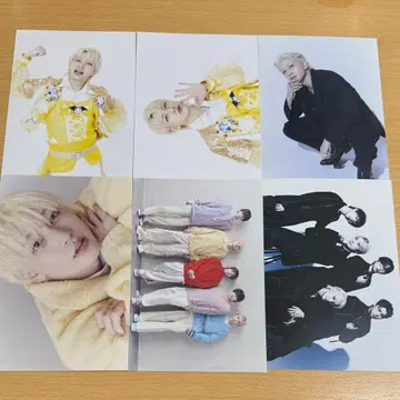 팬더드래곤 엽서 요우타 집합