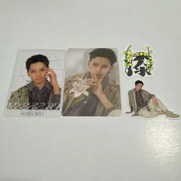 류구조 사이키 하루쿠 제로 제로 부도칸 트레이딩 카드 스티커