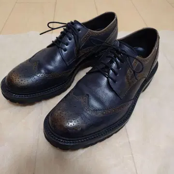 Factelier by madras 파티누 재단 윙팁