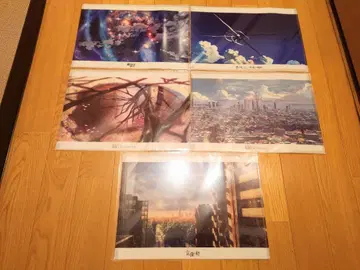 미개봉 신카이 마코토 작품 클리어 파일