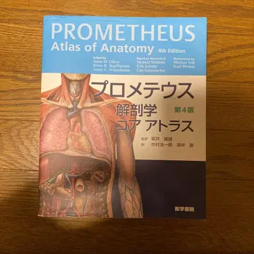 프로메테우스 해부학 코어 아틀라스 제4판