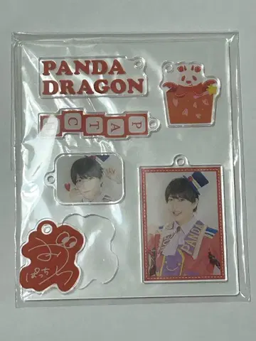 팬더 드래곤 패치 아크릴 키링