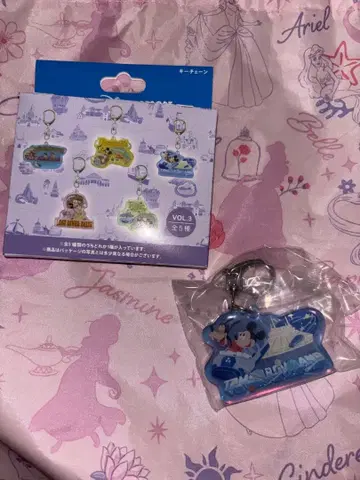 디즈니 아크릴 키링