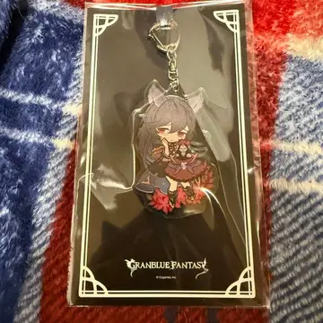 [ 즉시 구매 OK ] 그라페스 2025 니어 리버서블 아크릴 키링