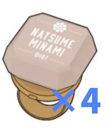 아이나나 미나미 린 라이 10th