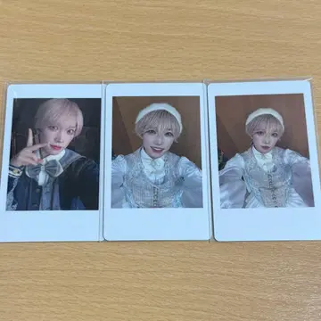 팬더드래곤 타이거 하피카 1