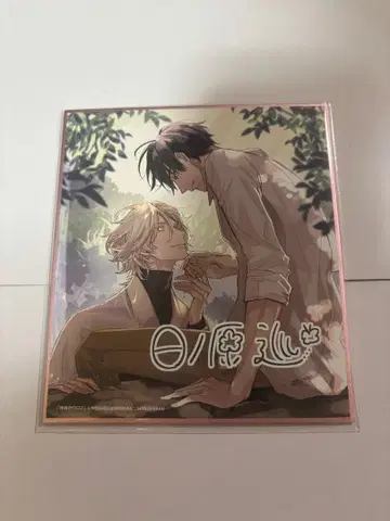 신의 비늘 색지