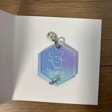 &TEAM Cafe 이어지는 참 HARUA