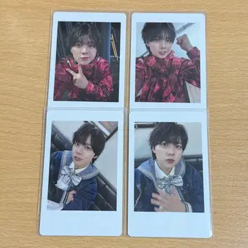 팬더드래곤 나기 하피카