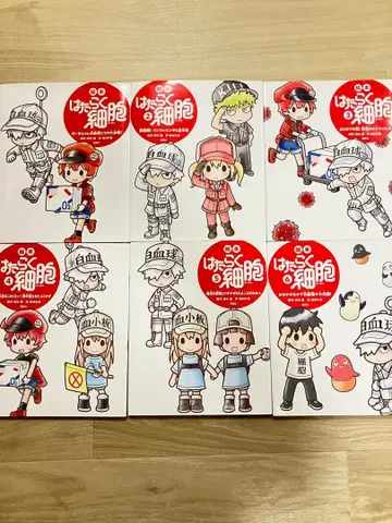 그림책 일하는 세포 6권 세트