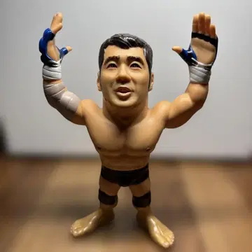 HAO 피규어 타카다 노부히코 격투가 피규어 약 15cm