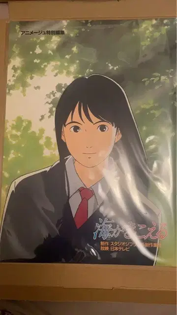 바다가 들린다 복각 영화 극장 한정 상영 기념 팜플렛 새상품