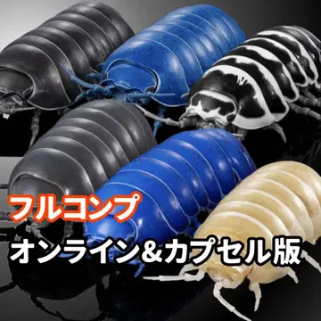 동글벌레 생물대도감 어드밴스 풀 컴프 온라인판 및 캡슐판