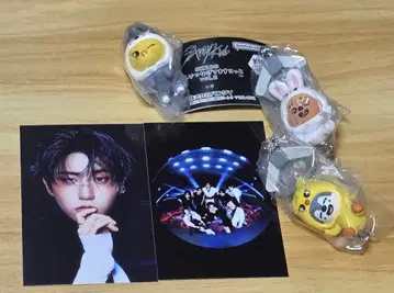 스키즈 skzoo 츠만데츠나게테마스코토 울프 찬 포가리 리 비트