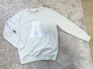 ZARA A 자수 맨투맨