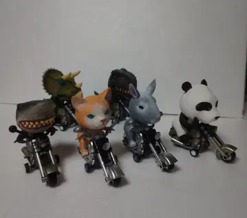 애니멀 라이더 6종 세트