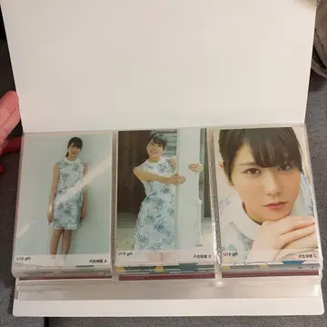 니부 아카리 브로마이드 세트