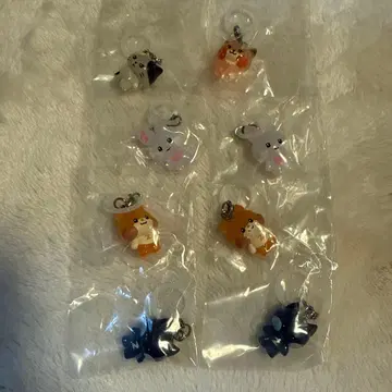 zb1 제로베이스원 제로니 메지루시 액세서리 가챠