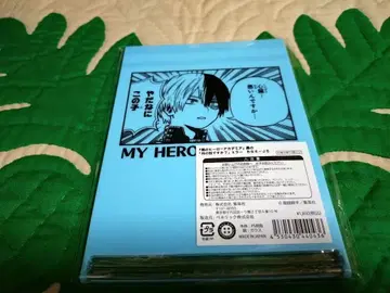 토도로키 쇼토 거울 히로아카