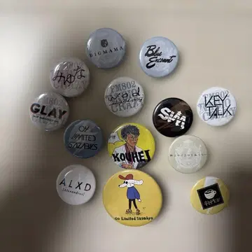 뮤지션 캔뱃지 레이디클레 국산 락