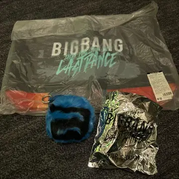 BIGBANG last dance 토트백 퍼 참 승리 v.i