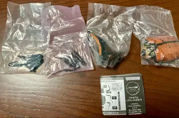 생물대도감 어드밴스 헤라클레스오키덴탈리스(골드헤드ver.)