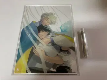 신의 비늘 아크릴 플레이트