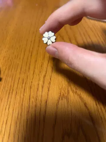 판도라 꽃 플라워 화이트 화이트 참