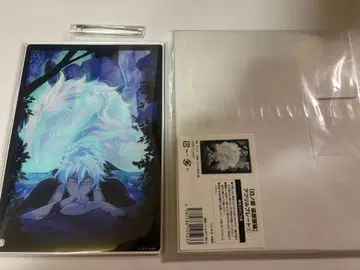 신의 비늘 아크릴 플레이트